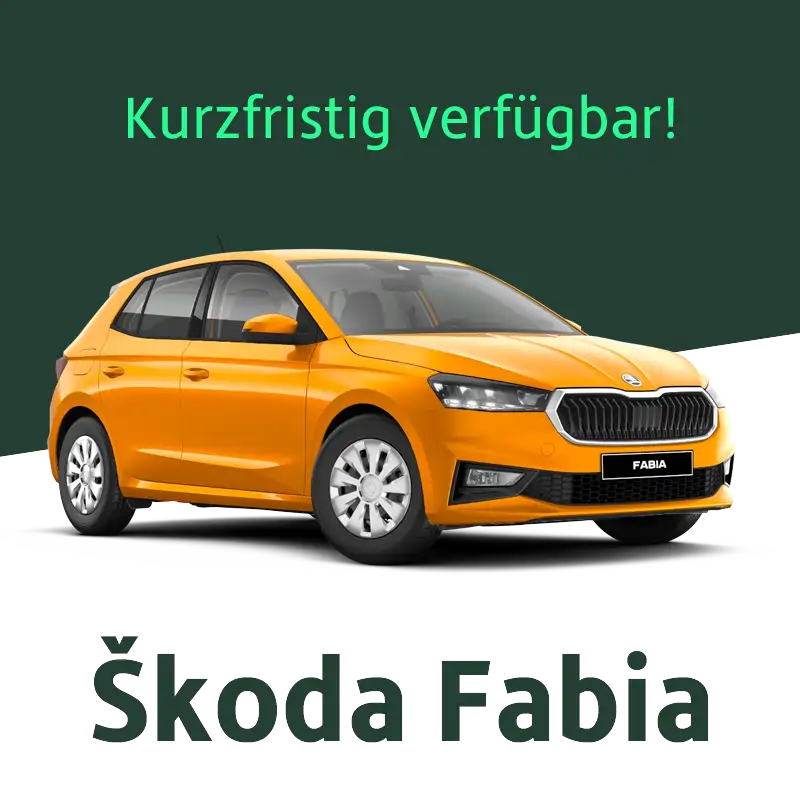 FSN Skoda Fabia