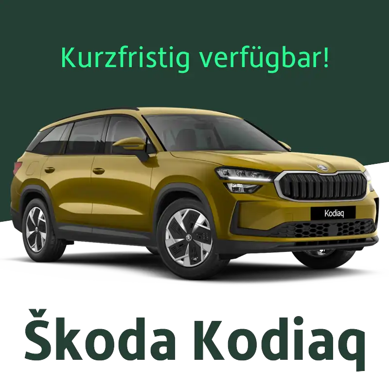 FSN Skoda Kodiaq